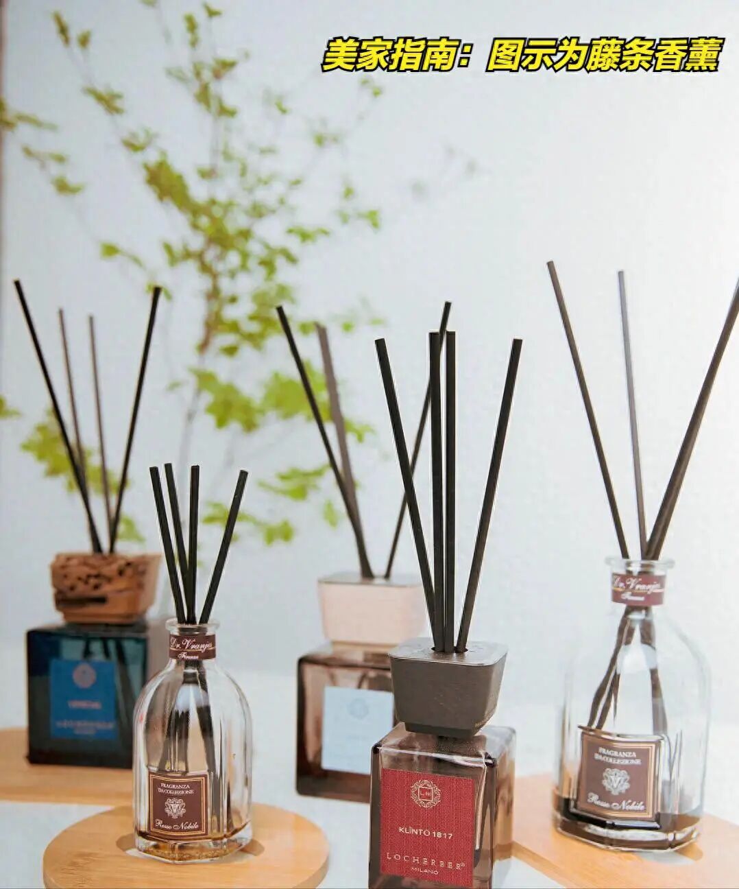 别乱跟风了，一文让你看懂香薰