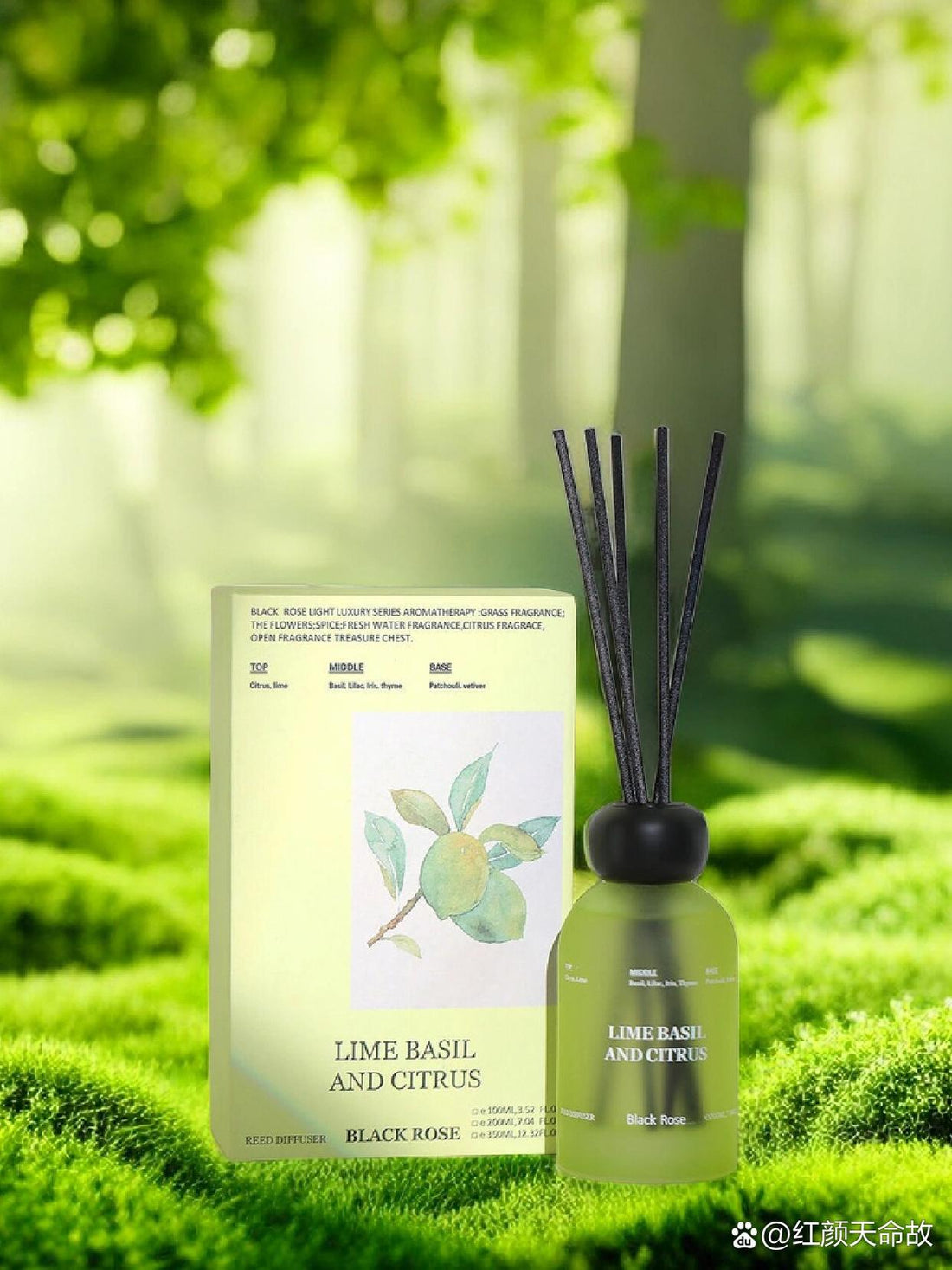 香薰的作用与功效你知道吗🫣